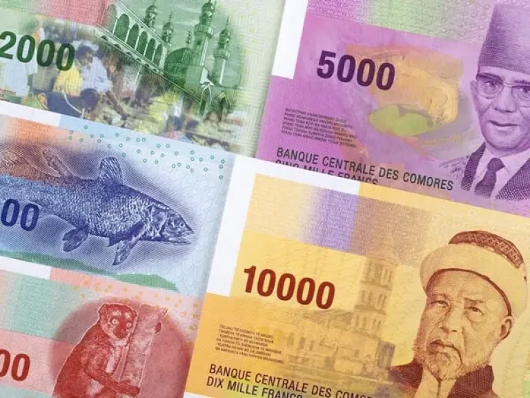 أسعار الفرنك القمري مقابل الجنيه المصري بداية تعاملات اليوم الجمعة 22 - 8- 2025